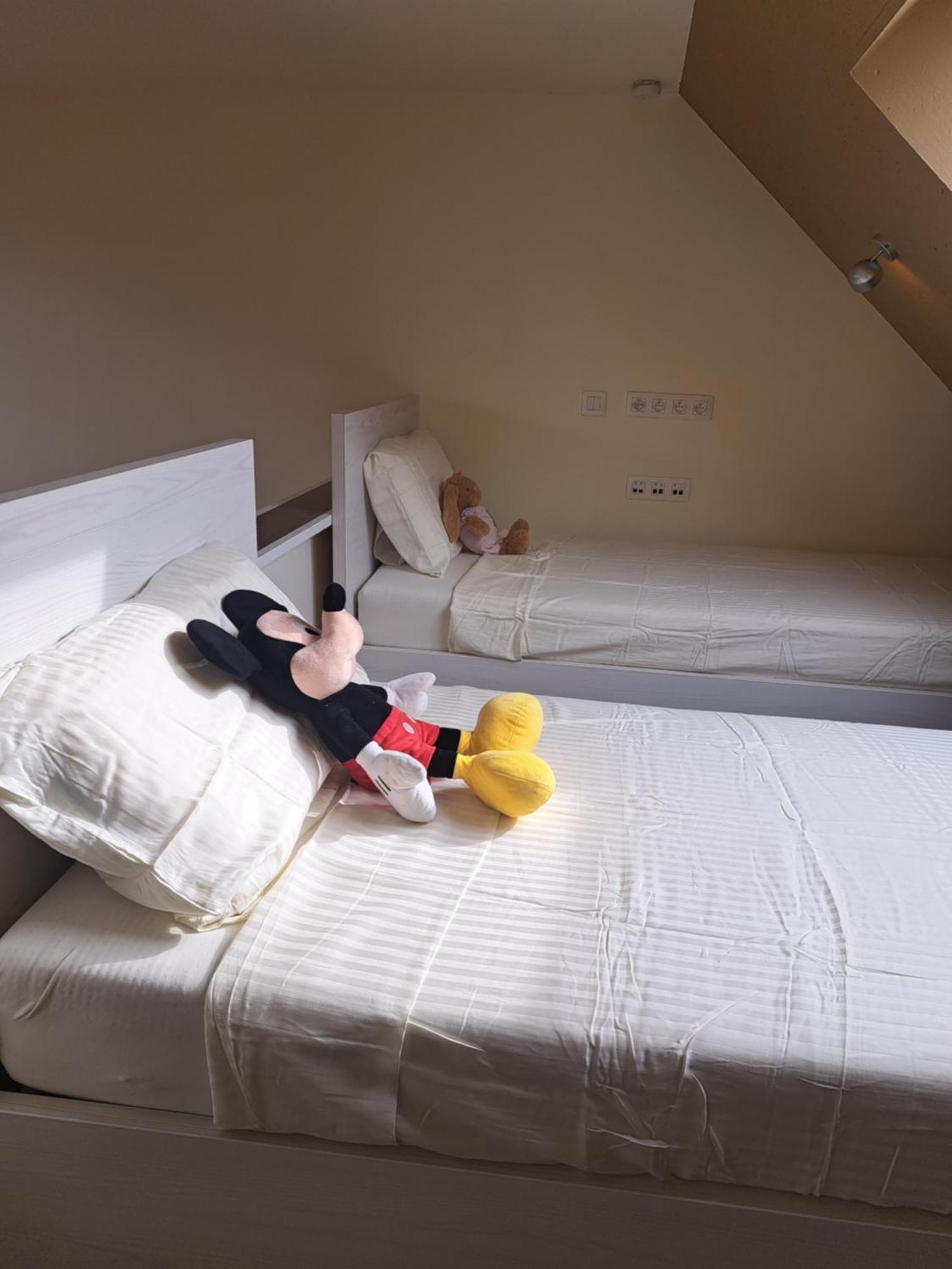 Chambres D'Hotes A 800M De Pairi Daiza Et Proche Du Shape-Otan Lens Rom bilde